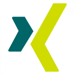 xing icon